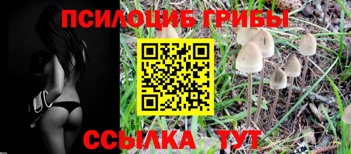 Ипатово  Галлюциногенные грибы GOLDEN TEACHER  Вход с VPN  Галлюциногенные грибы Cubensis 